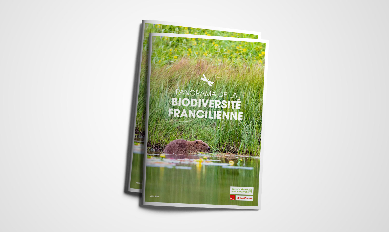 Agence régionale de la biodiversité en Île-de-France - Publications