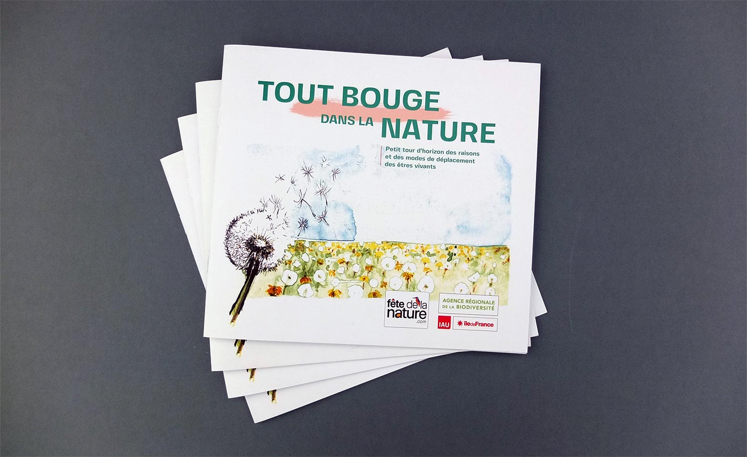 Agence régionale de la biodiversité en Île-de-France - Publications