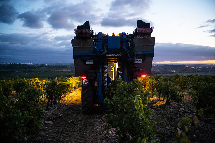 Domaine de Soustres - Esprit d'Ensérune