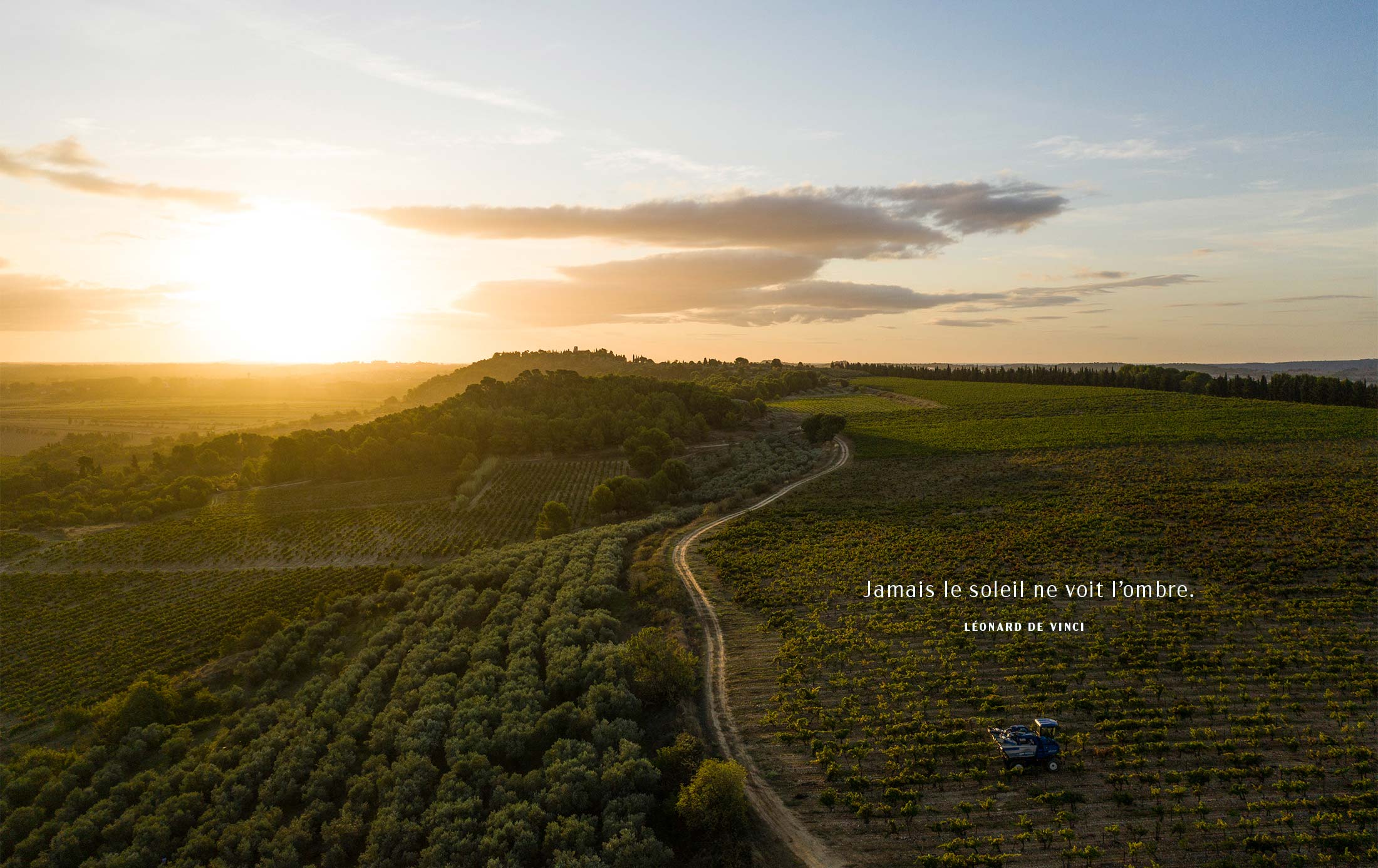 Domaine de Soustres - Esprit d'Ensérune