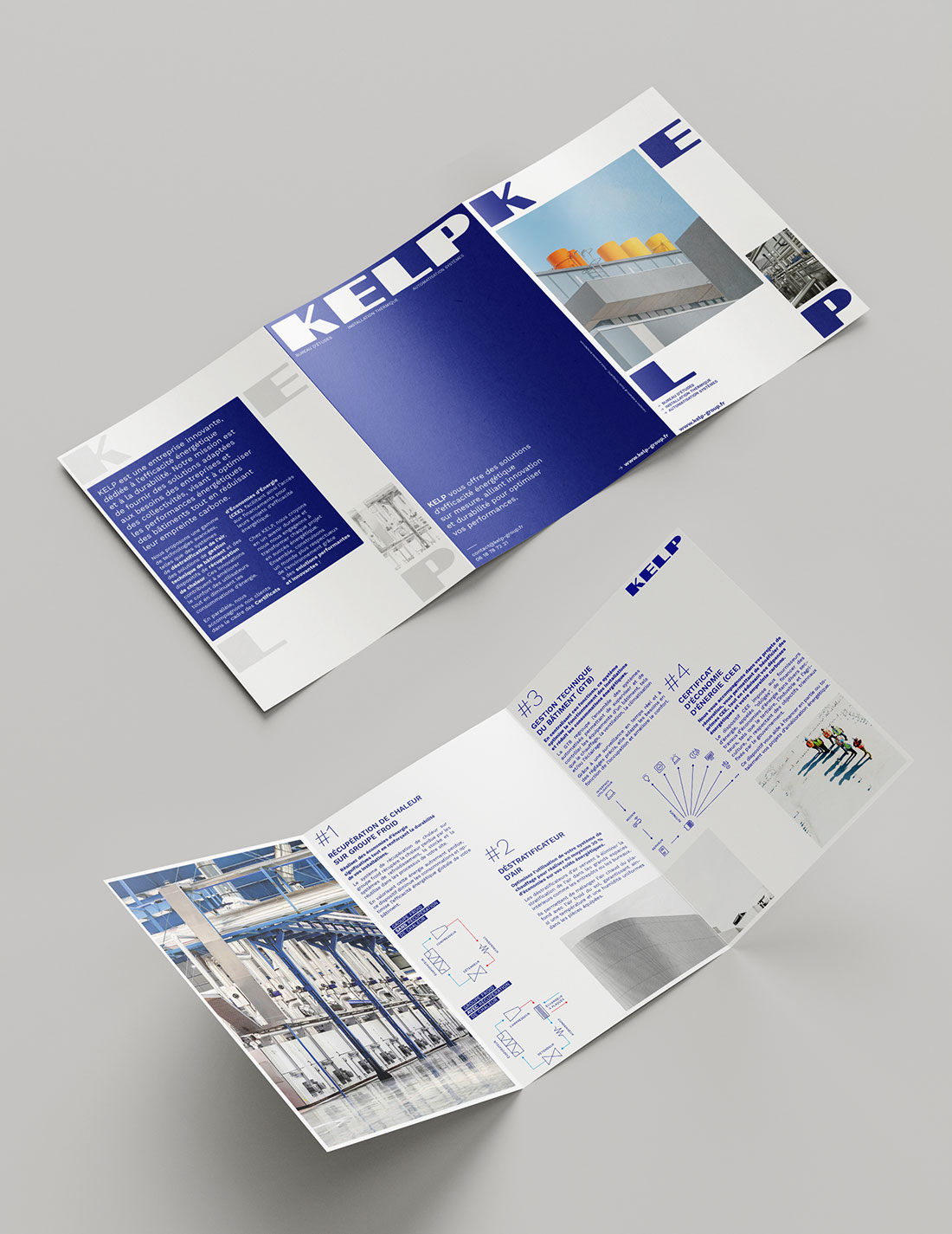 Groupe Kelp